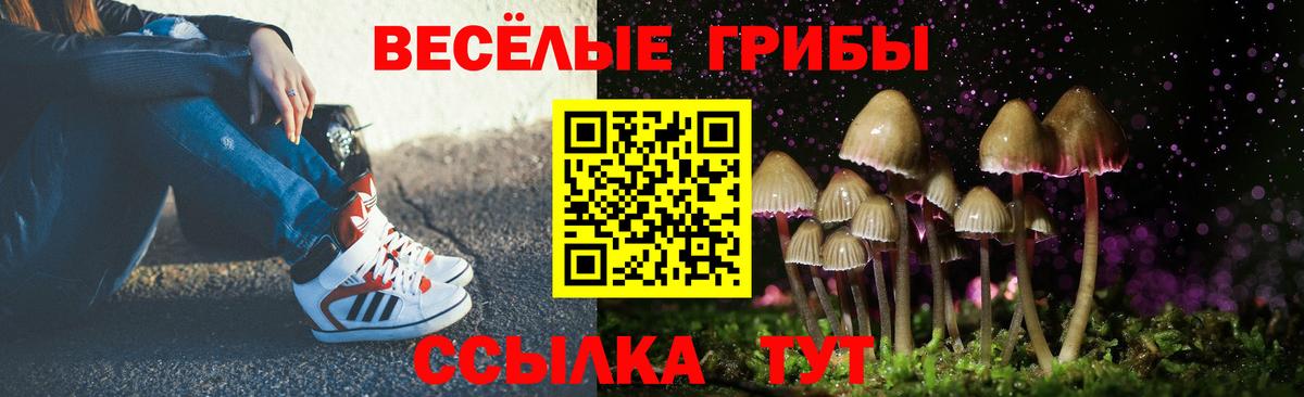 Заринск  Галлюциногенные грибы GOLDEN TEACHER  Вход с VPN 